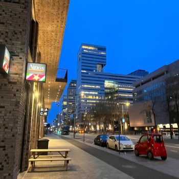 Nino's Surinam food (3)