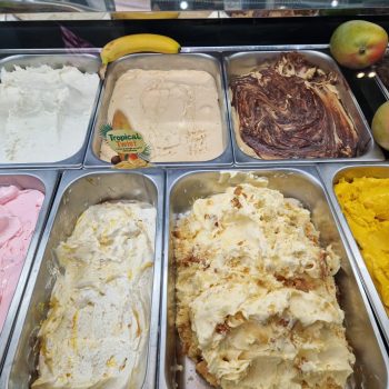 Nino's Surinam food ijs (3)